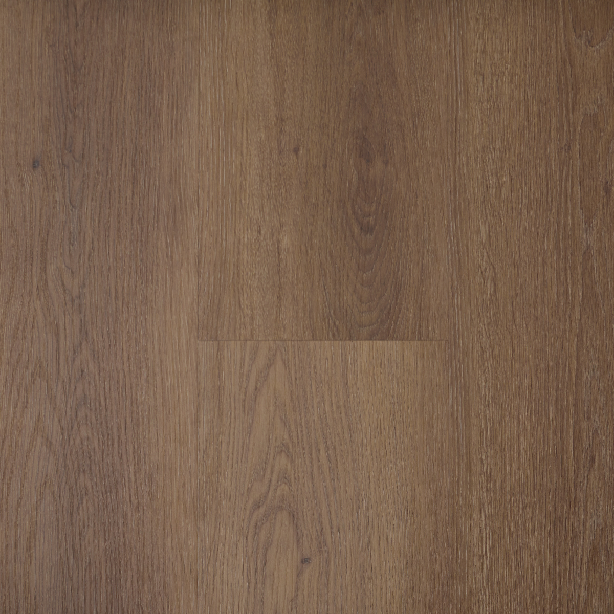 Sample Boxbach eiken - Extra breed