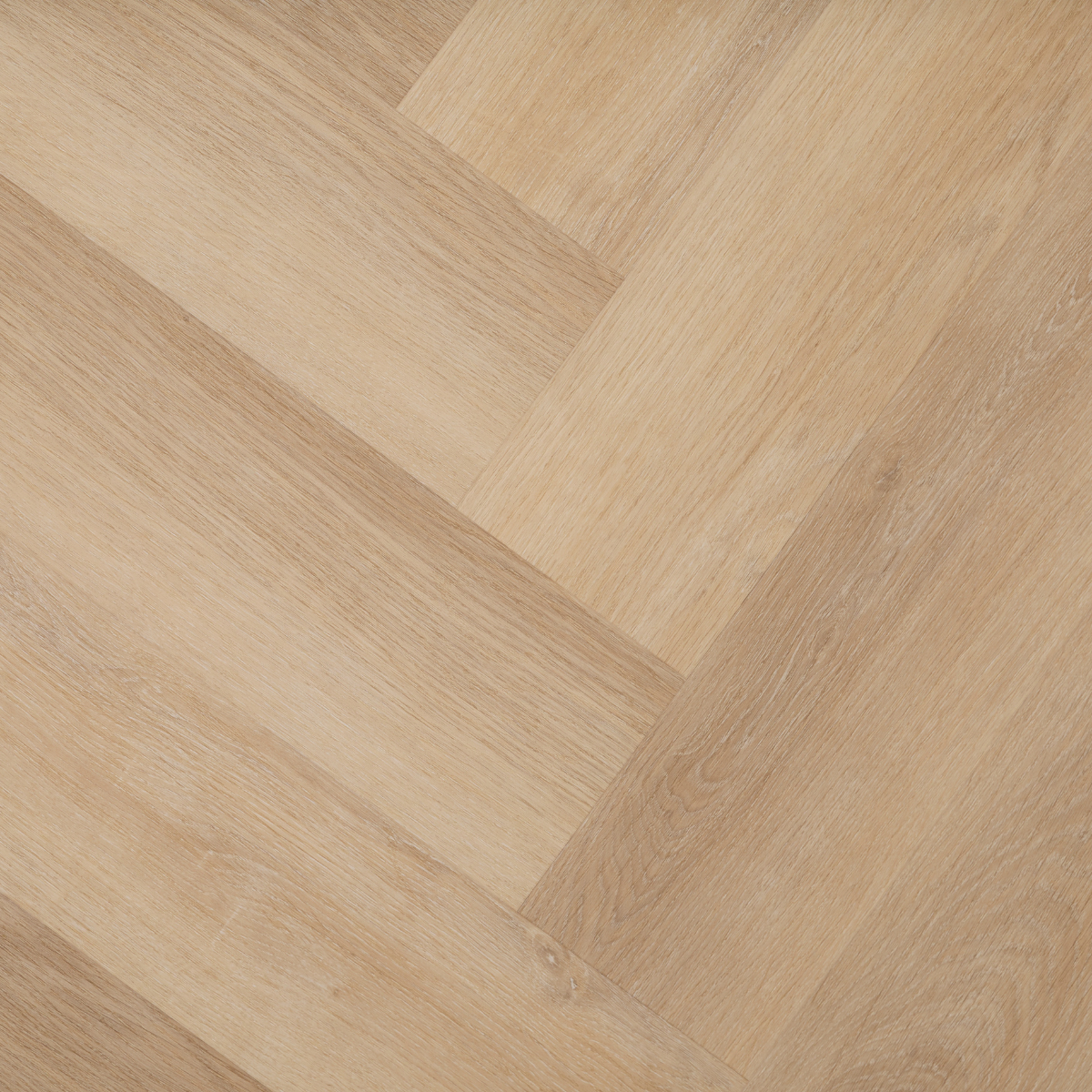 Sample Prenzlau eiken - Visgraat